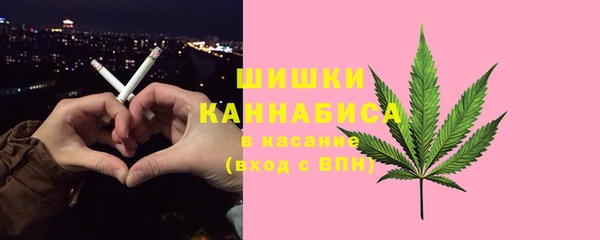 дживик Иннополис