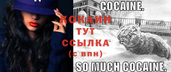 дживик Иннополис