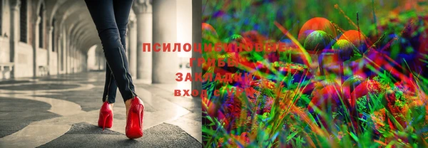 дживик Иннополис